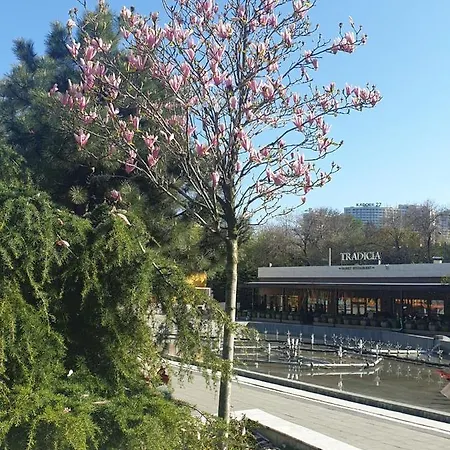 Sunny Near The Sea On Genuezskaya דירה *