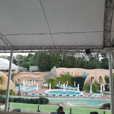 Sunny Near The Sea On Genuezskaya