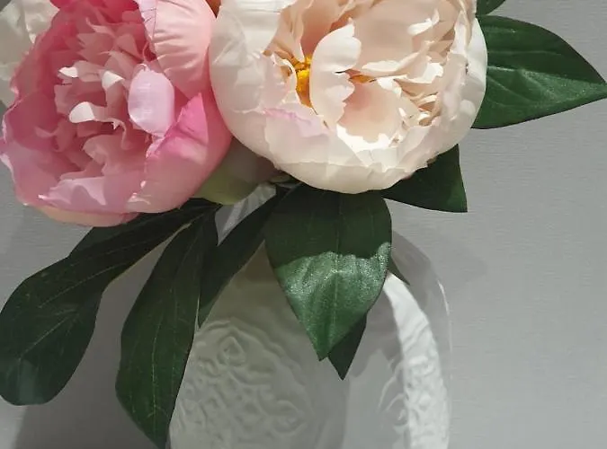 Sunny Near The Sea On Genuezskaya オデッサ