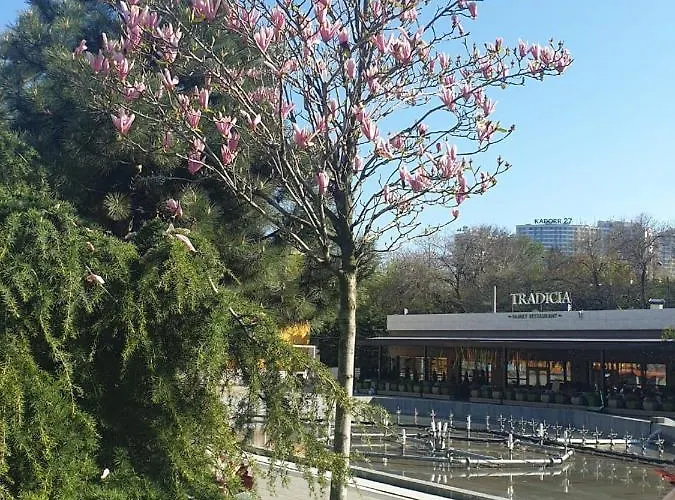 Sunny Near The Sea On Genuezskaya アパート *